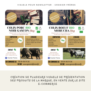 creation visuel newsletter