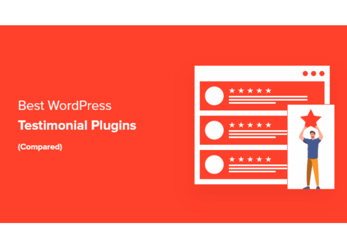 plugin temoignage wordpress 13