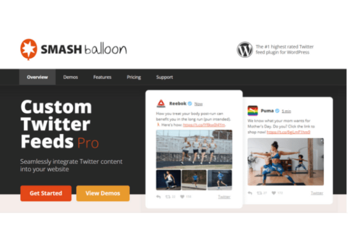 plugin temoignage wordpress 12