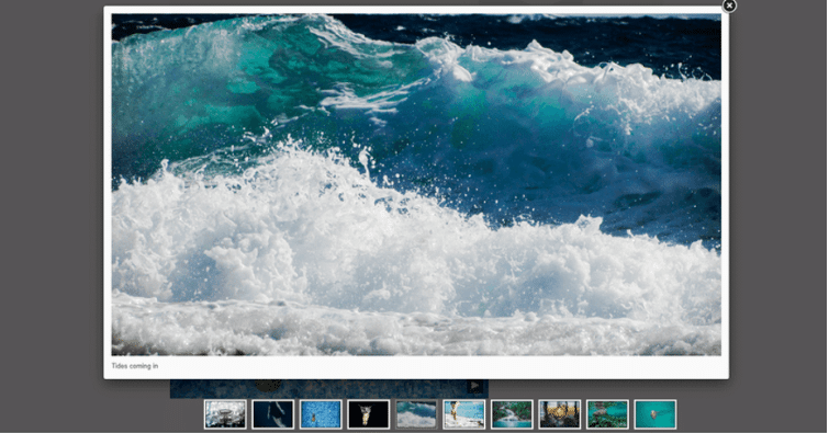 Wordpress Instagram Feed